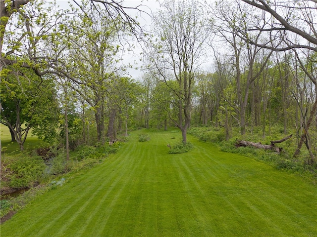 3502 Pebble Beach Rd, Livonia, NY 14480 - photo 4