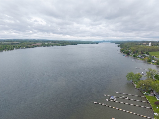 3502 Pebble Beach Rd, Livonia, NY 14480 - photo 7