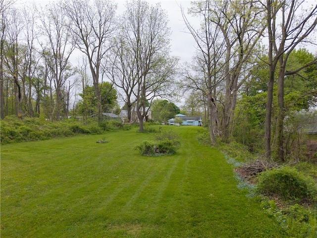 3502 Pebble Beach Rd, Livonia, NY 14480 - photo 17
