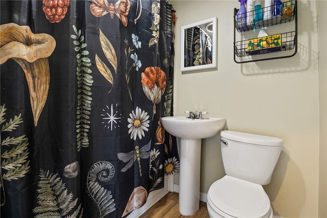 10 Clinton St, Bergen, NY 14416 - bathroom with wood finished floors, toilet, baseboards, and a sink