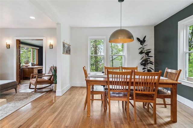 314 Hamilton St, Benton, NY 14527 - dining room with plenty of natural light and light wood-type flooring