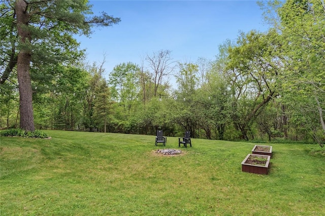 314 Hamilton St, Benton, NY 14527 - view of green lawn featuring a garden