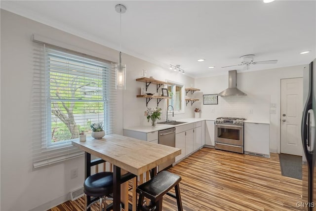 9 Bishop Dr, Manlius, NY 13066 - kitchen featuring appliances with stainless steel finishes, wall chimney range hood, a sink, open shelves, and light countertops