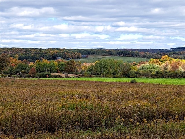 7239 Reeds Corners Rd, Sparta, NY 14435