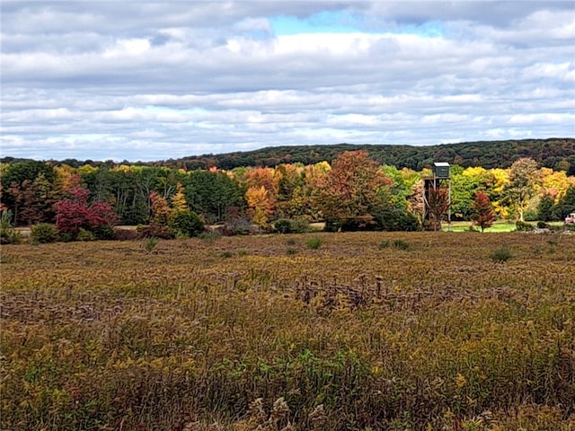 7239 Reeds Corners Rd, Sparta, NY 14435