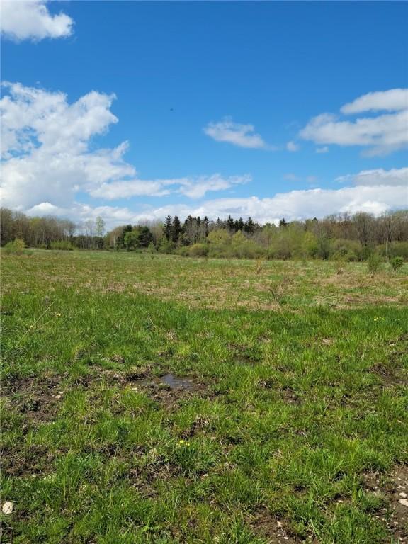 7239 Reeds Corners Rd, Sparta, NY 14435