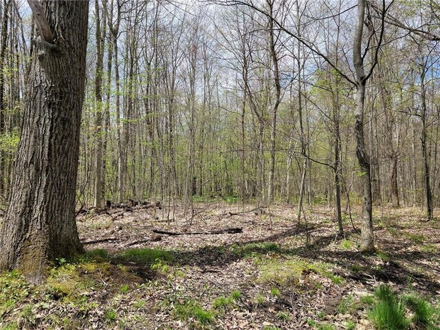 7239 Reeds Corners Rd, Sparta, NY 14435