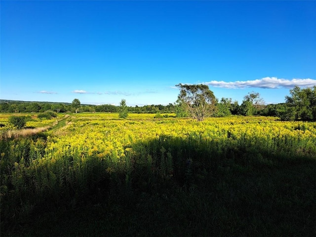 7239 Reeds Corners Rd, Sparta, NY 14435