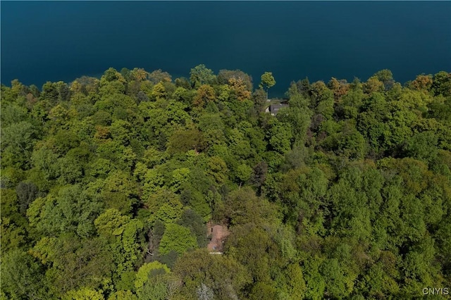 aerial view of property's location with a forest