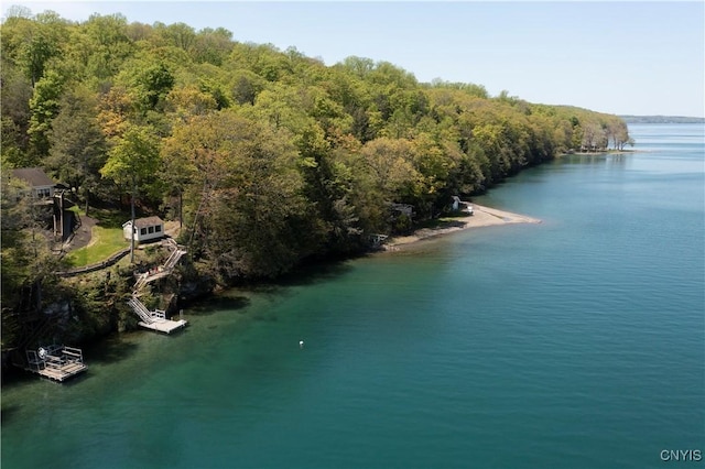 aerial view of a large body of water and a forest