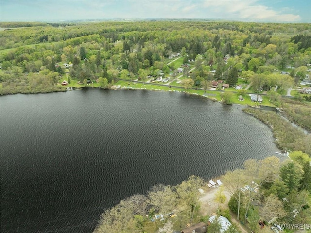aerial view of property and surrounding area featuring a nearby body of water and a heavily wooded area