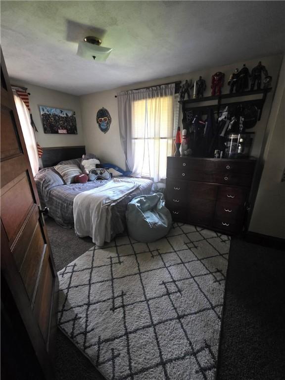 119 Verona St, Elmira, NY 14903 - bedroom with carpet floors