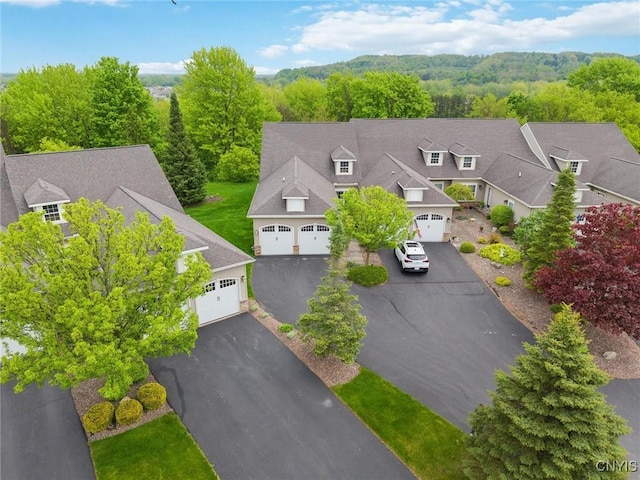 119 Star Gaze Cir, Manlius, NY 13066 - aerial view of residential area