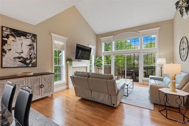 119 Star Gaze Cir, Manlius, NY 13066 - living room featuring wood finished floors, healthy amount of natural light, high vaulted ceiling, and a tiled fireplace