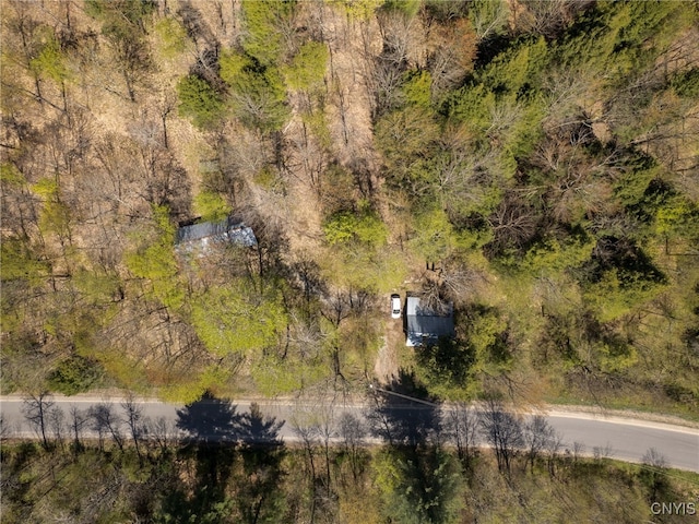 13630 Middle Branch Rd, Diana, NY 13648