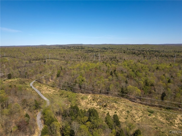 13630 Middle Branch Rd, Diana, NY 13648