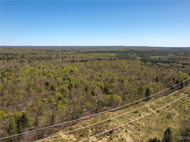 13630 Middle Branch Rd, Diana, NY 13648