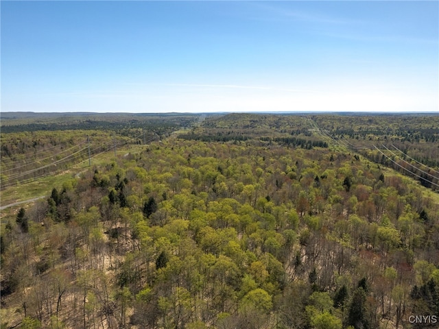 13630 Middle Branch Rd, Diana, NY 13648
