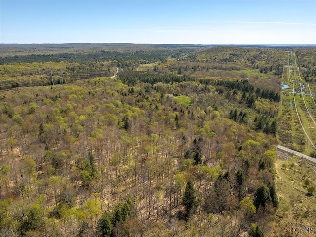 13630 Middle Branch Rd, Diana, NY 13648