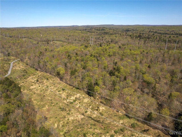 13630 Middle Branch Rd, Diana, NY 13648