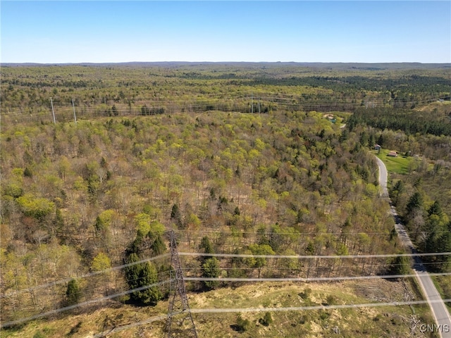 13630 Middle Branch Rd, Diana, NY 13648
