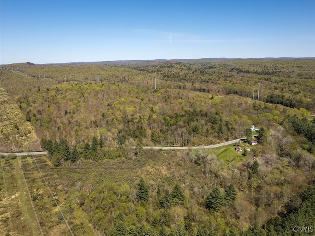 13630 Middle Branch Rd, Diana, NY 13648