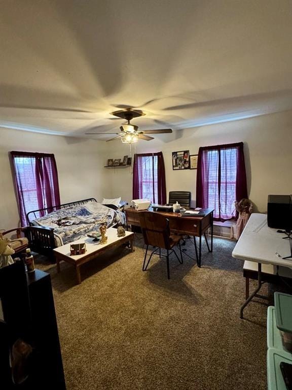 426 Loder St, Barton, NY 14892 - bedroom featuring dark carpet, multiple windows, and a desk