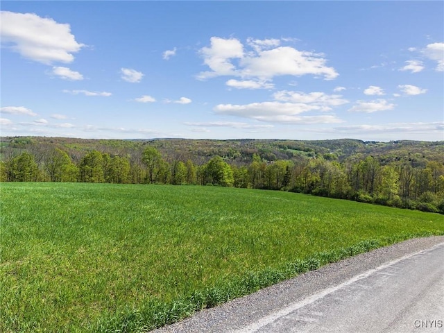 283 Cunningham Lawrence Rd, Sherburne, NY 13460