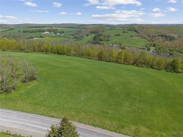 283 Cunningham Lawrence Rd, Sherburne, NY 13460