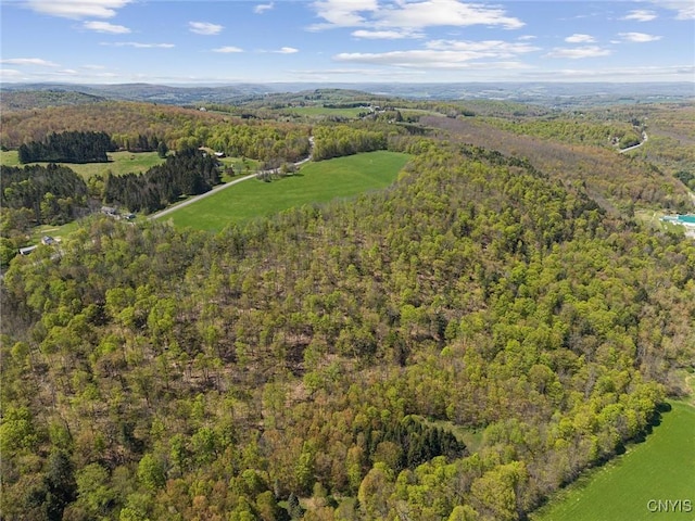 283 Cunningham Lawrence Rd, Sherburne, NY 13460