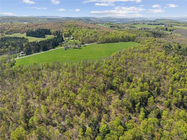 283 Cunningham Lawrence Rd, Sherburne, NY 13460