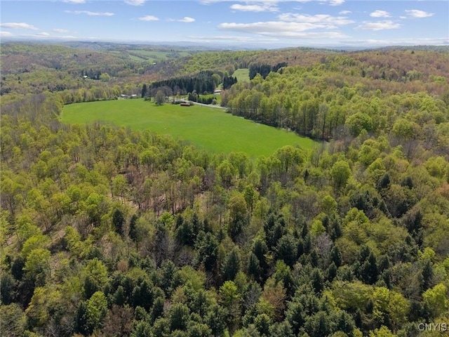 283 Cunningham Lawrence Rd, Sherburne, NY 13460