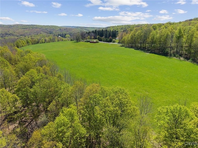 283 Cunningham Lawrence Rd, Sherburne, NY 13460