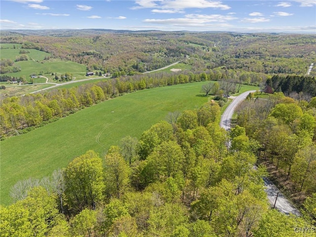283 Cunningham Lawrence Rd, Sherburne, NY 13460