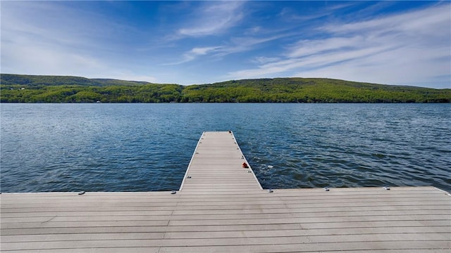 1267 S Lake Rd, Middlesex, NY 14507 - dock area with a water view and a view of trees