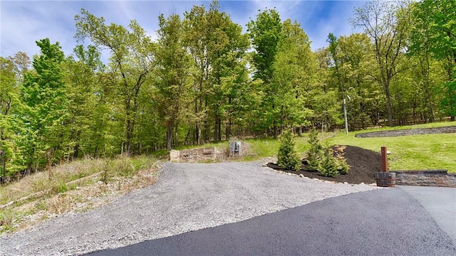 1267 S Lake Rd, Middlesex, NY 14507 - view of asphalt road with a view of trees