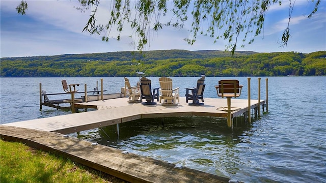 1267 S Lake Rd, Middlesex, NY 14507 - dock featuring a view of trees and a water view