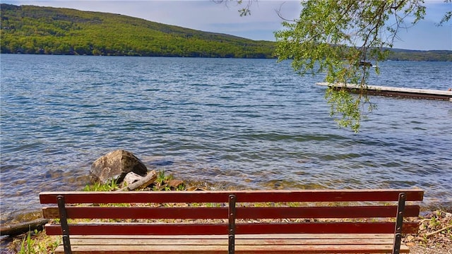 1267 S Lake Rd, Middlesex, NY 14507 - water view with a forest