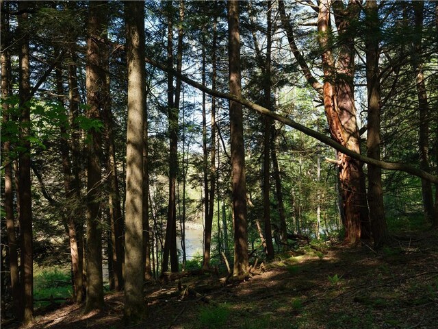 1181 County Highway 44, Sidney, NY 13775 - photo 24