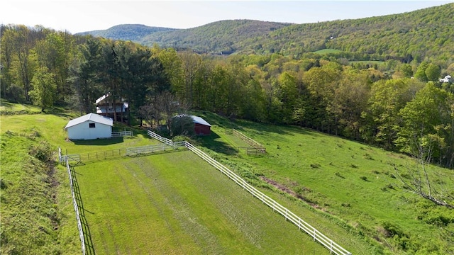 1181 County Highway 44, Sidney, NY 13775 - photo 30
