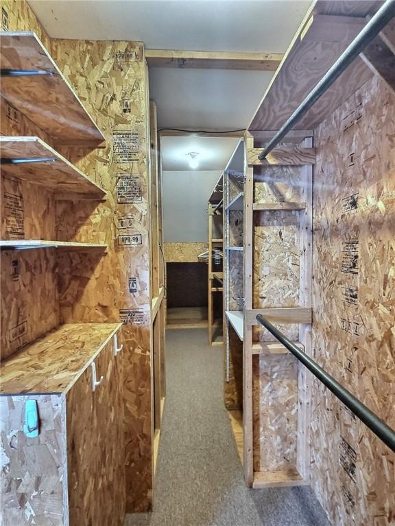walk in closet featuring carpet