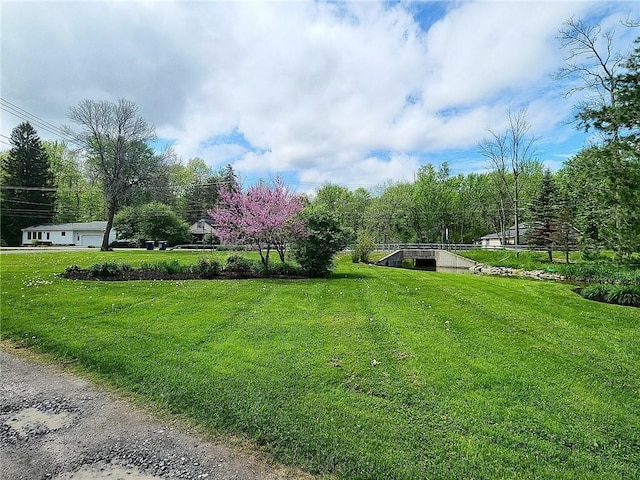 view of grassy yard featuring a garage