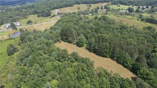 0 State Highway 28, Otsego, NY 13337