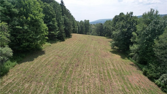 0 State Highway 28, Otsego, NY 13337