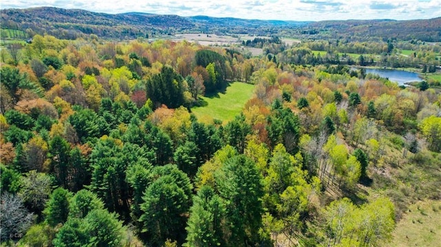 0 State Highway 28, Otsego, NY 13337
