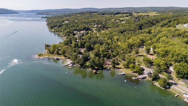 4331 Tichenor Point Dr, Canandaigua-Town, NY 14424 - drone / aerial view of a nearby body of water and a heavily wooded area