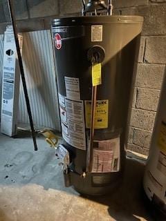 utility room with gas water heater