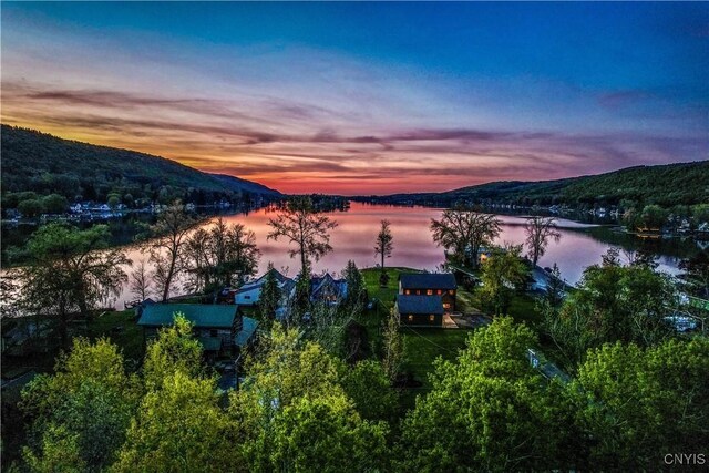 657 W Cottage Ln, Deruyter, NY 13052 - bird's eye view of a water and mountain view and a forest