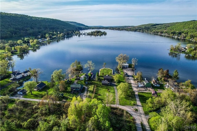 657 W Cottage Ln, Deruyter, NY 13052 - aerial view of property and surrounding area with a nearby body of water and a heavily wooded area