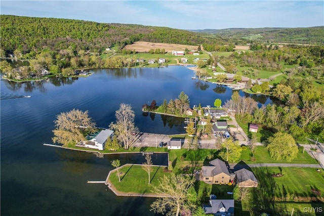 657 W Cottage Ln, Deruyter, NY 13052 - drone / aerial view of a heavily wooded area and a large body of water